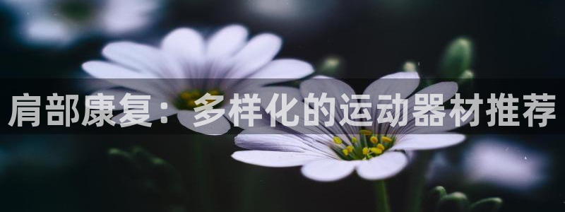fb体育娱乐代理怎么样：肩部康复：多样化的运动器材推