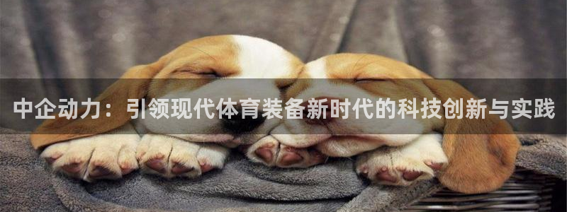 fb体育平台：中企动力：引领现代体育装备新时代的科技