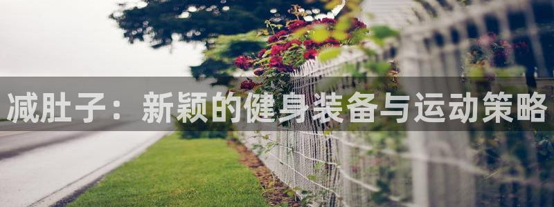 fb体育娱乐：减肚子：新颖的健身装备与运动策略