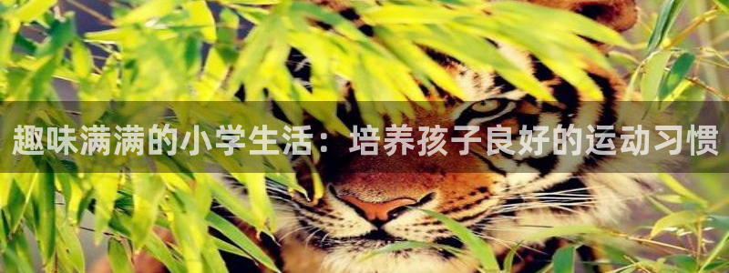 fb体育招商电话：趣味满满的小学生活：培养孩子良好的运动习惯