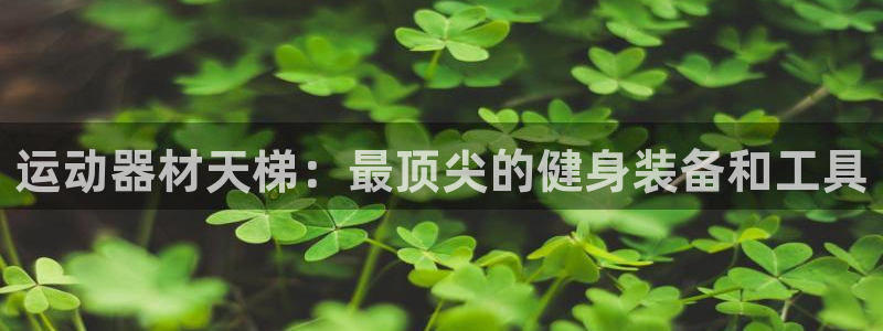 fb体育平台注册：运动器材天梯：最顶尖的健身装备和工具