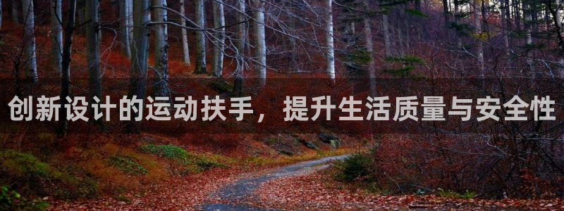 fb体育平台注册要钱吗安全吗：创新设计的运动扶手，提升生活质