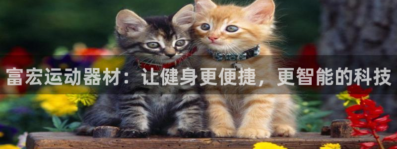 fb体育平台注册：富宏运动器材：让健身更便捷，更智能的科技