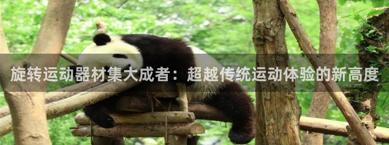 fb体育官方客服电话：旋转运动器材集大成者：超越传统运动体验